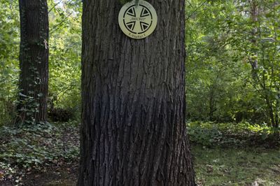 266